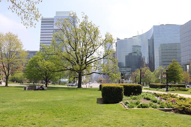 Toronto skyline office location reference